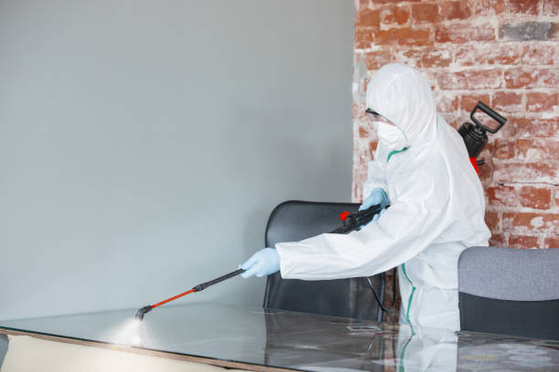 Biohazard Mold Removal in Dallas, NC